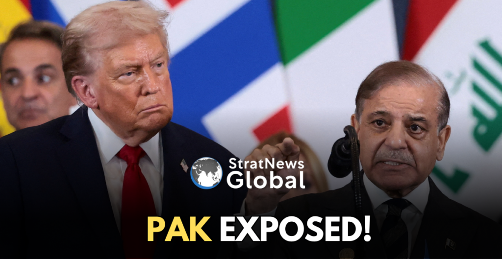 Pakistan Ceasefire