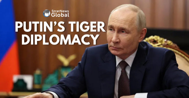 Putin Putin