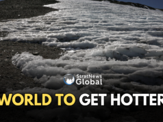 Global Temperatures To Reach Near-Record Highs In 5 Yrs: Report Temperatures Record