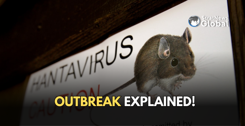 hantavirus explained