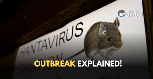 hantavirus explained