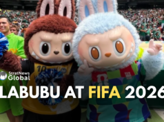 From Toy Shelf to World Cup Stage: Labubu Goes Global China
