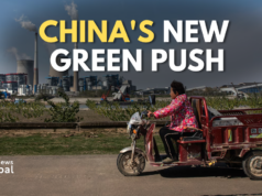 China Launches Nationwide Energy-Saving Overhaul China