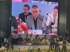 Iran Eyes Stronger Energy Partnership With India Iran BRICS India energy ministers meeting