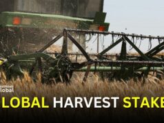 China: Rains Hit Wheat Harvest, Imports To Push Up Global Prices
