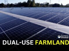 Bangladesh Tests Solar Farming To Tackle Energy Dependence