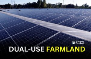 Bangladesh Tests Solar Farming To Tackle Energy Dependence