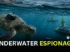 China Warns Of ‘Spy Turtles’ And ‘Spy Fish’ In Latest Espionage Claim