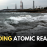 Japan nuclear reactors