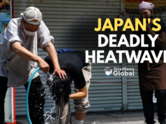 Tokyo Heatwave Breaks Records: Over 450 Hospitalised In A Single Day Japan