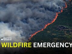 Wildfires Trigger Spain’s First National Emergency, 10,000 Flee