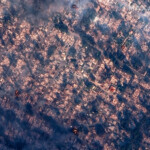 A satellite image shows smoke covering houses after devastating wildfires, in Altadena, California, U.S., January 8, 2025. Maxar Technologies/Handout via REUTERS