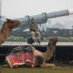 A soldier of India's Border Security Force (BSF) and their camels rest during a rehearsal for the upcoming Republic Day parade in New Delhi, India, January 20, 2025. REUTERS/Adnan Abidi