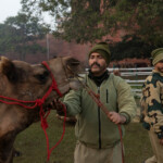 A soldier of India's Border Security Force (BSF) looks at a camel as they rest during a rehearsal for the upcoming Republic Day parade in New Delhi, India January 20, 2025. REUTERS/Adnan Abidi