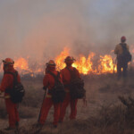 Firefighters work as the Hughes Fire burns in Castaic Lake, California, U.S. January 22, 2025. REUTERS/David Swanson