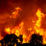 The Hughes Fire burns near Castaic Lake, north of Santa Clarita, California, U.S. January 22, 2025. REUTERS/Ringo Chiu