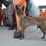 Operation Brahma: 80-member strong NDRF search & rescue team departs for Nay Pyi Taw, Myanmar (Source: @DrSJaishankar via X)