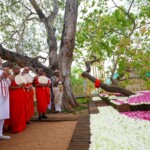 PM Narendra Modi along with Sri Lankan President Anura Kumara Dissanayake visited the sacred Jaya Sri Maha Bodhi temple in Anuradhapura.