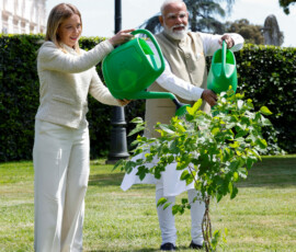 Italy's Prime Minister Giorgia Meloni and Indian Prime Minister Narendra Modi water a mulberry tree after planting it at Villa Doria Pamphili garden, in Rome, Italy, May 20, 2026. REUTERS/Remo Casilli