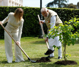 Italy's Prime Minister Giorgia Meloni and Indian Prime Minister Narendra Modi plant a mulberry tree at Villa Doria Pamphili garden, in Rome, Italy, May 20, 2026. REUTERS/Remo Casilli
