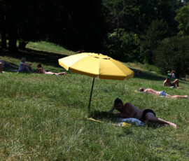 A person lies in the shade of a parasol in the Parc des Buttes-Chaumont in Paris as temperatures rise during a heatwave affecting a large part of France, June 22, 2026. REUTERS/Abdul Saboor