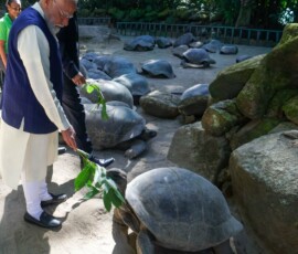 PM Modi along with President Dr. Patrick Herminie visited the Giant Tortoise Enclosure at the Seychelles National Botanical Garden.